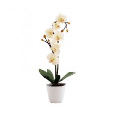 СТАРТ LED Орхидея2 белый